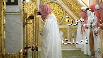سورة فصلت | المصحف الصوتي والمرئي من صلاتي التراويح والتهجد بالمسجد النبوي لعام 1446هـ.