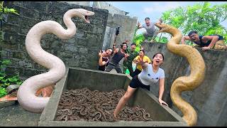 Brave Soldiers Used High-Tech Snake Detectors To Locate The Giant Python