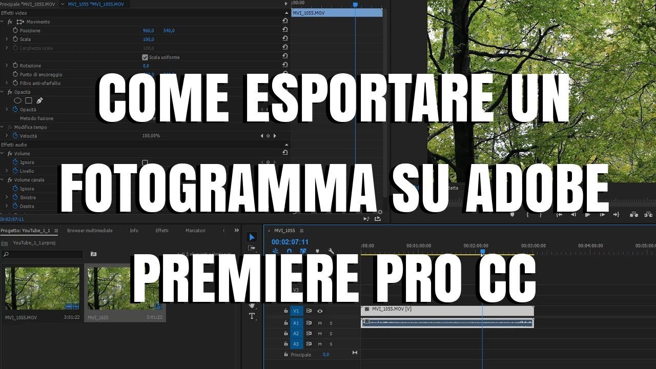 Come esportare un fotogramma su Adobe Premiere Pro CC