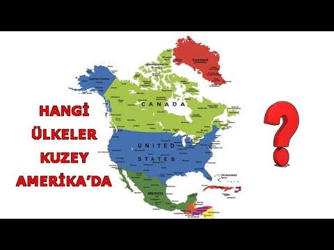 Video: Kuzey Amerika'da Hangi Hayvanlar Yaşar