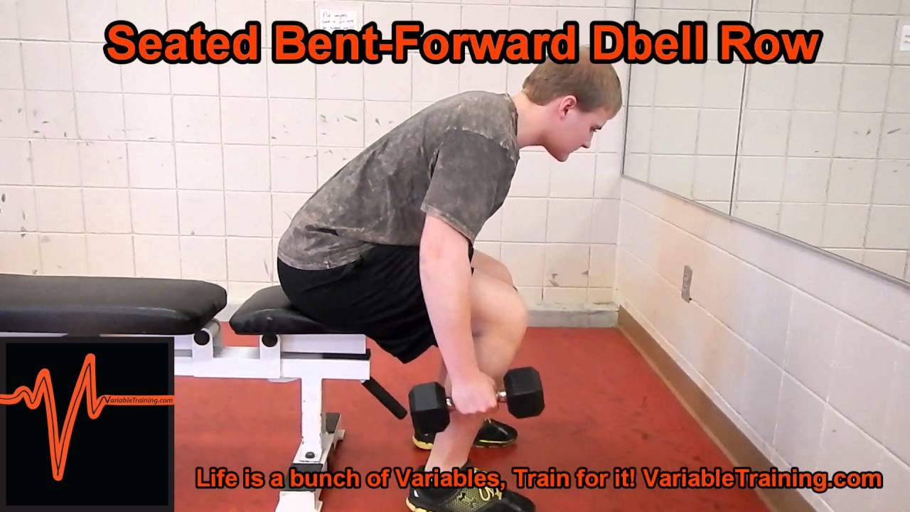 Seated Bent Forward Dbell Row - YouTube