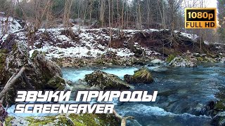 Живая природа - Река | Звуки природы | Звуки реки | Шум воды | Релаксация | Антистресс | Заставка ТВ