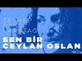 Sen bir ceylan olsan - Zeynep Bakşi Karatağ