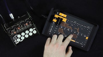 Modal Electronics CRAFTrhythm Demo