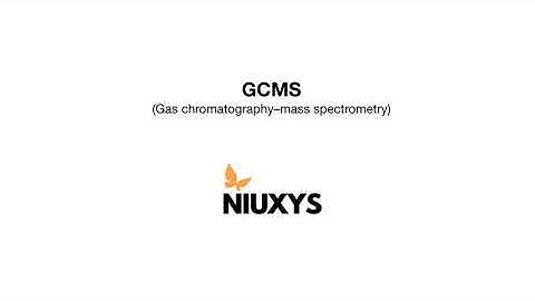 Niuxys 100% Pure Essential Oils