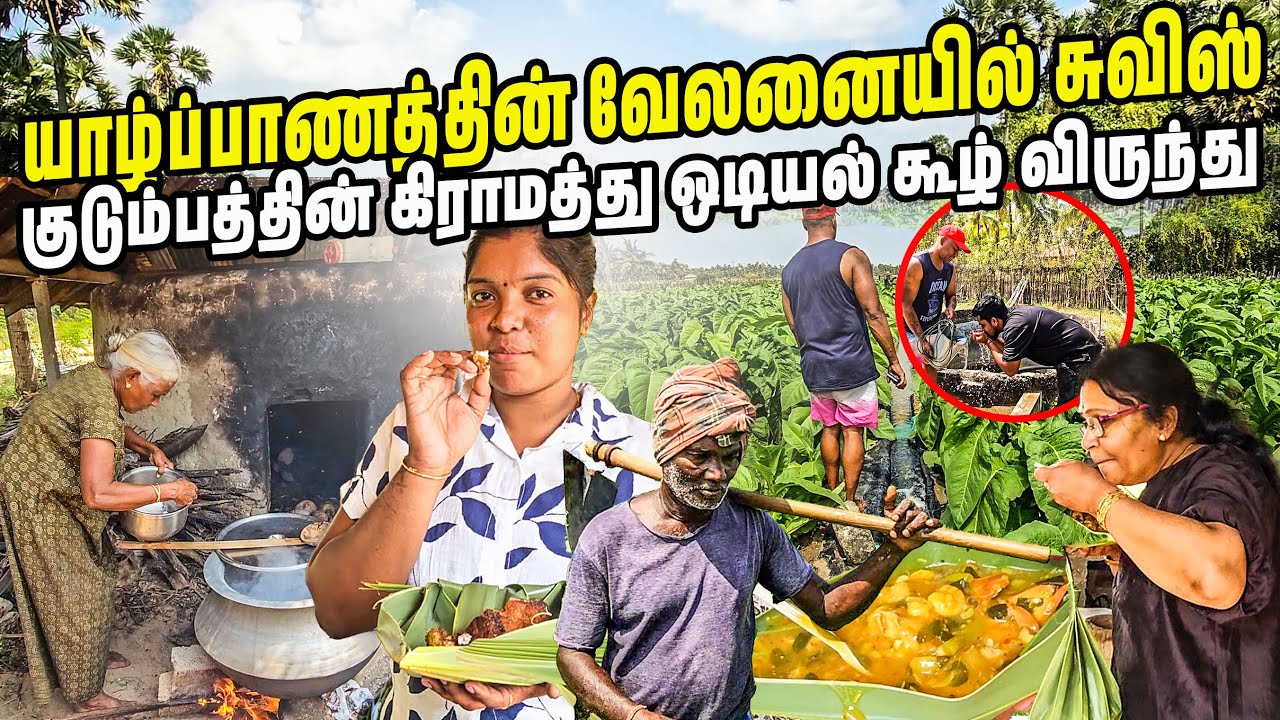 யாழில் சுவிஸ் குடும்பத்தின் எளிமையான கிராம வாழ்க்கை 😵‍💫| Jaffna velani | Sri lanka | #jesivlogs 