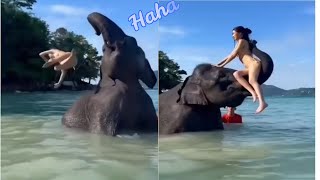 TRY NOT TO LAUGH WATCHING FUNNY FAILS VIDEOS COMPILATION | AZFUN