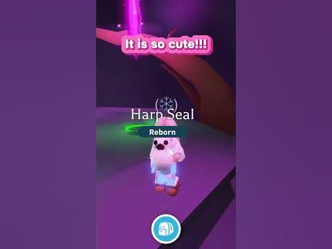 Making a Neon Harp Seal! | Roblox Adopt Me - YouTube