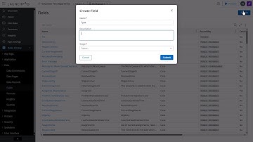 Launchpad basic training 9: Adding picklist fields to a case data model