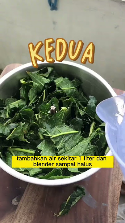 Usir hama dengan daun pepaya?!! Cara membuat pestisida nabati #tanduria #gardeningtips