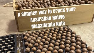 Best way to crack Macadamia Nuts!