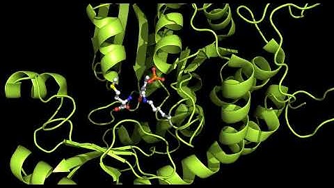 Crystal Structure of Thermobrachium celere Methioninase – A Promising Enzyme for Cancer Therapy