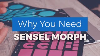Sensel Morph Review: MPE Controller for under $300? 🤯 screenshot 2