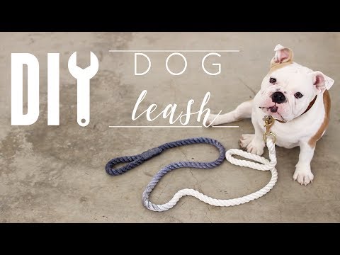 diy-dog-leash