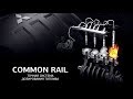Что такое Common Rail. Принцип работы, строение и особенности