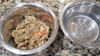 The Best Homemade Dog Food | The Dog Series 🐕 by AKIYIAKELLY 79 views 12 days ago 4 minutes, 25 seconds