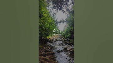 {وأُفَوِّضُ أَمْرِي إِلَى اللَّهِ ۚ إِنَّ اللَّهَ بَصِيرٌ بِالْعِبَادِ}سوره: غافرالقارئ: هيثم الدخين