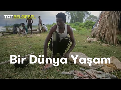 Bir Dünya Yaşam | Afrika'da Balıkçılık | TRT Belgesel