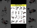 Most Effective Chest Workouts #shorts