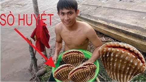 Cà Mau Quê Ngoại - [Tập 2] Xuống Vuông Mò Sò Huyết Rang Me Ăn - Trương Trung Thịnh Vlogs