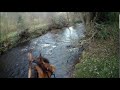 Farouk crosses a deep river. Lovely Autumn colours.(4)