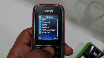 Zong Biometric Verification System Start And UI Introduction