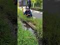 Selokan pinggir jalan Yang Banyak Ikan