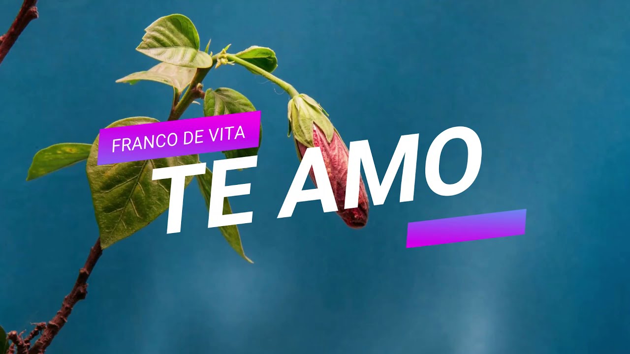 Te amo I Franco de Vita I Letra YouTube