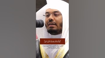 سورة الاحقاف - ياسر الدوسري#ياسر_الدوسري #تلاوات #قران_كريم