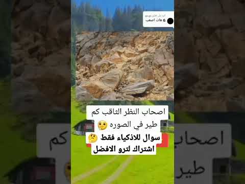 كم عدد الطيور في الصوره سوال للاذكياء فقط