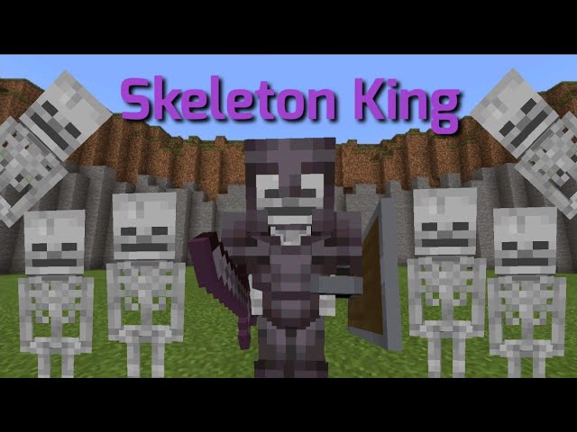 Skeleton King, minecraft Novaskin Me, citadel The Military College