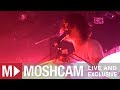 Animal Collective - My Girls | Live in Sydney | Moshcam