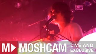 Animal Collective - My Girls | Live in Sydney | Moshcam