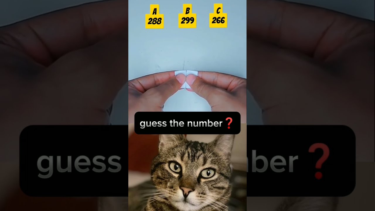 Guess The Number 288 299 266 Ai Shorts Cat Bombastic