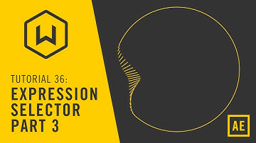 Tutorial 36: Expression Selector Part 3