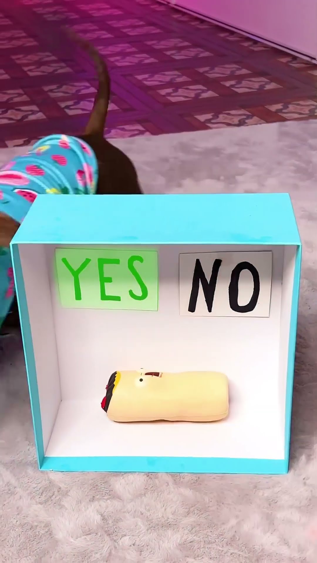 ЧТО ЧАПИКУ ДОСТАЛОСЬ В КОНЦЕ??????