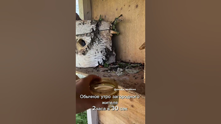 Наше обычное утро,интересны ли вам такие видео?