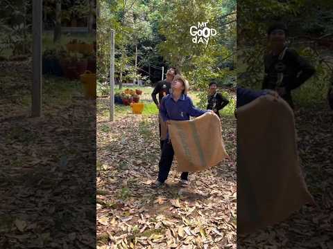 Extreme Ways to Harvest Durian #shorts