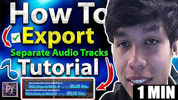 How To Export Separate Audio Tracks In Premiere Pro Tutorial (2025)
