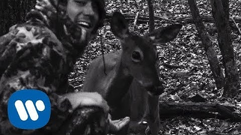 The Front Bottoms: camouflage (Official Video)