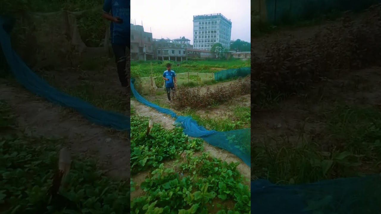 Share project adjacent to Mugda Green Model Town, only 2 shares left