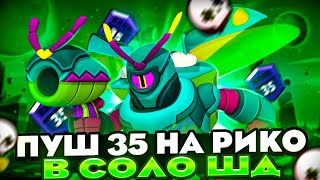 ПУШ РИКО В СОЛО ШД НА 35 РАНГ 🔥СТРИМ BRAWL STARS🔥