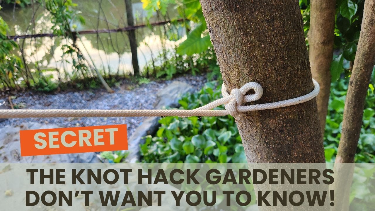 Knot Hacking The Knot Hack Gardeners Don’t Want You to Know! - YouTube