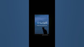 تلاوة القرآن| القارئ إسلام صبحي| #alhamdulillah #تلاوة_القرآن #قرآن