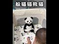 Today, this hide-and-seek panda moved me. Baby played with it, sang, told stories