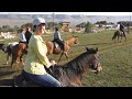 Конная прогулка 🏇🏇🏇 Первый опыт верховой езды! Прогулка на лошадях Кисловодск 2018