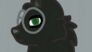 sugar fruit Live Stream
