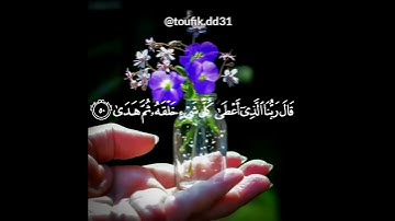 أرح سمعك -قرآن كريم بصوت ياسر الدوسري/حالات واتساب دينية /مقاطع ديني