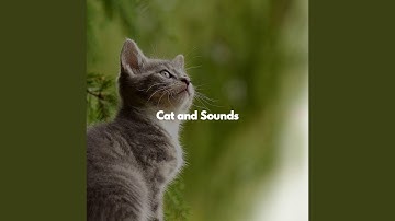 Pulsating Music for Contemplating