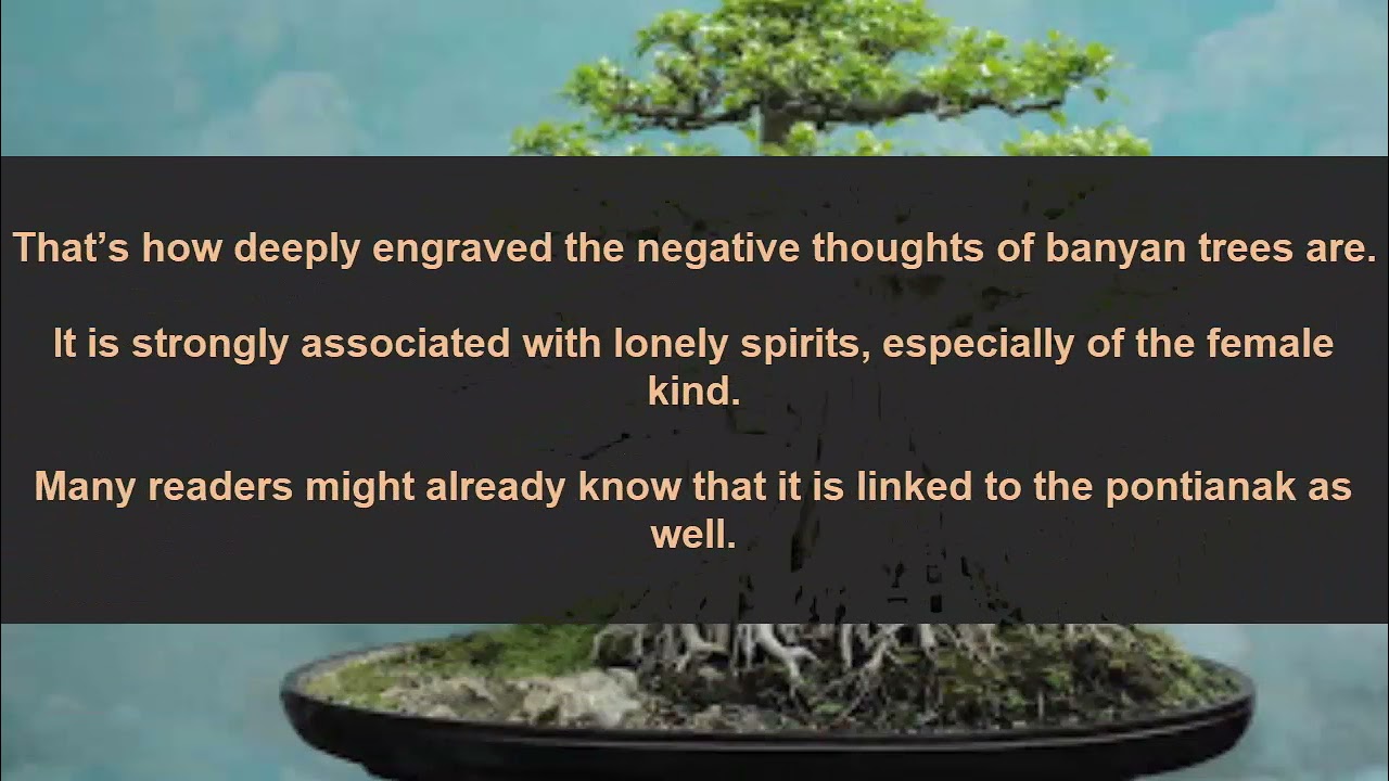 Banyan Tree At Home Good Or Bad Can We Grow A Banyan Tree At Home Banyan Tree At Home Good Or Bad Can We Grow A Banyan Tree At Home